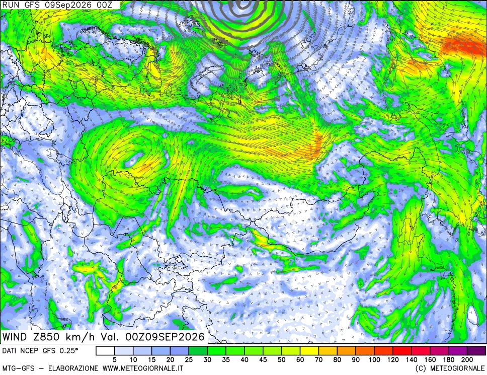 mappa 850 hPa Vento forza e direzione