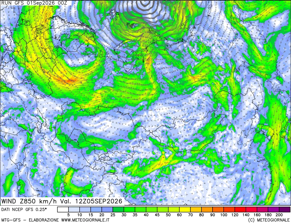 mappa 850 hPa Vento forza e direzione