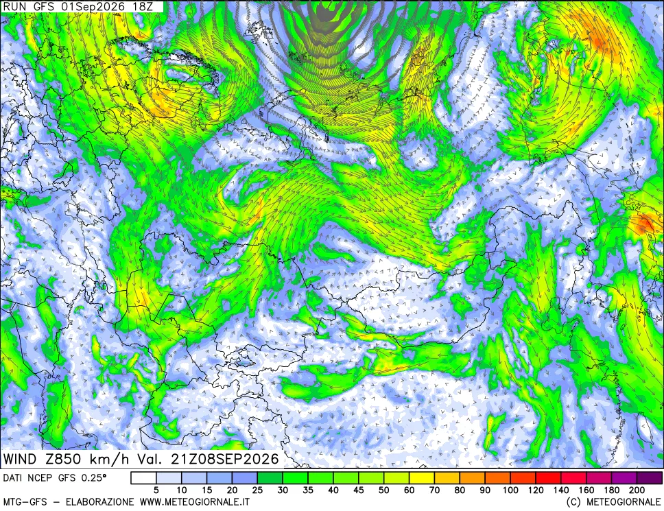 mappa 850 hPa Vento forza e direzione