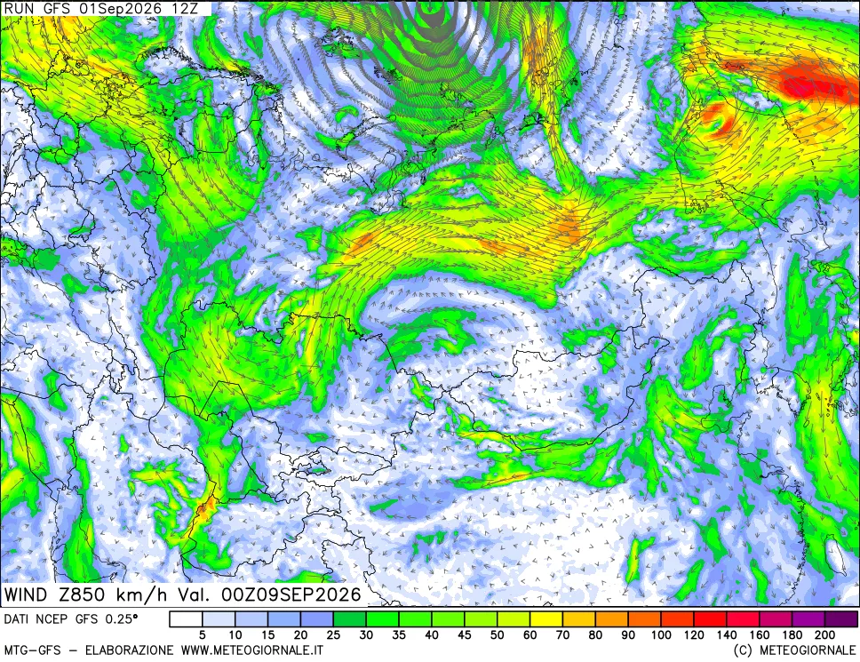 mappa 850 hPa Vento forza e direzione