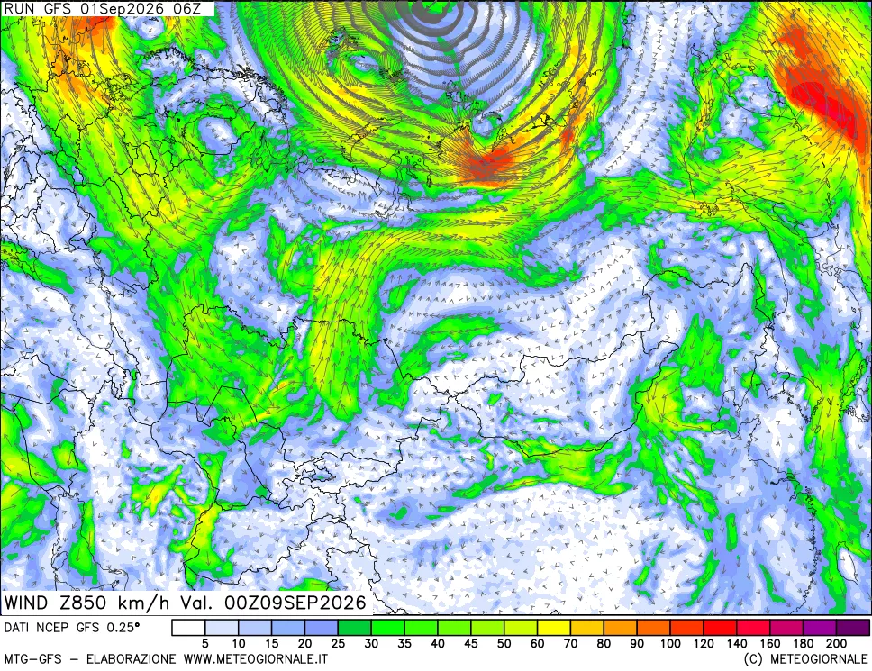 mappa 850 hPa Vento forza e direzione