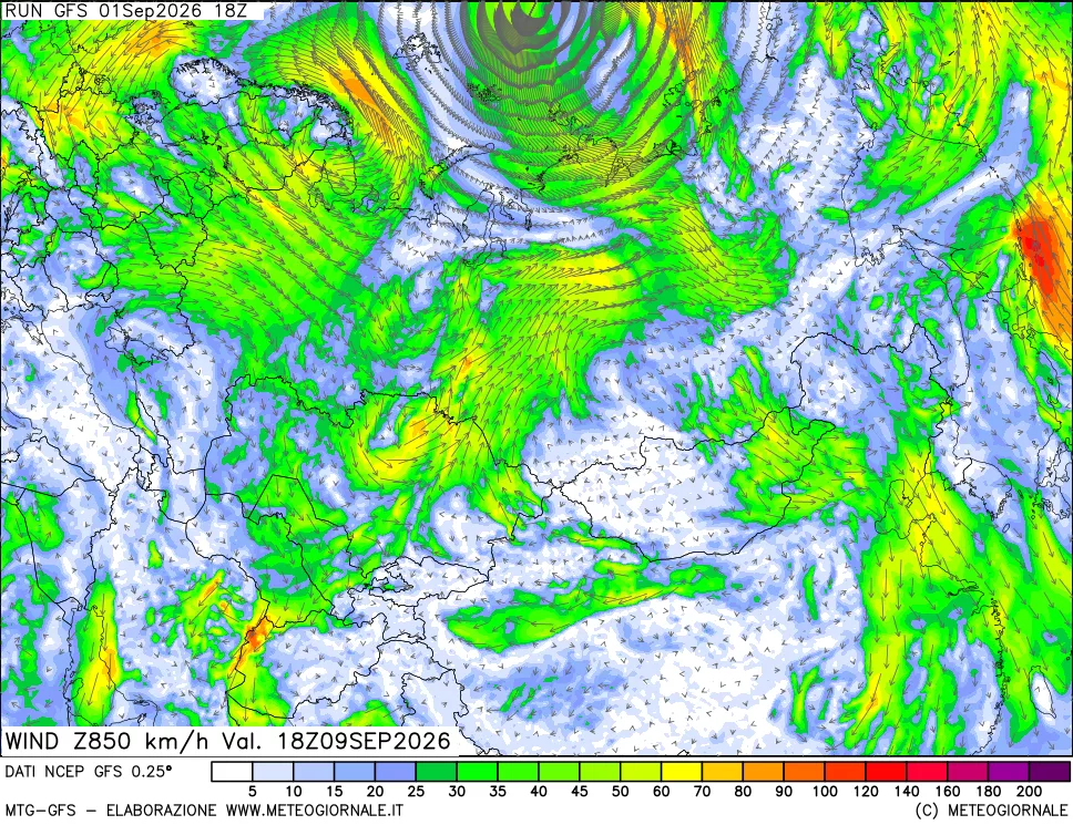 mappa 850 hPa Vento forza e direzione