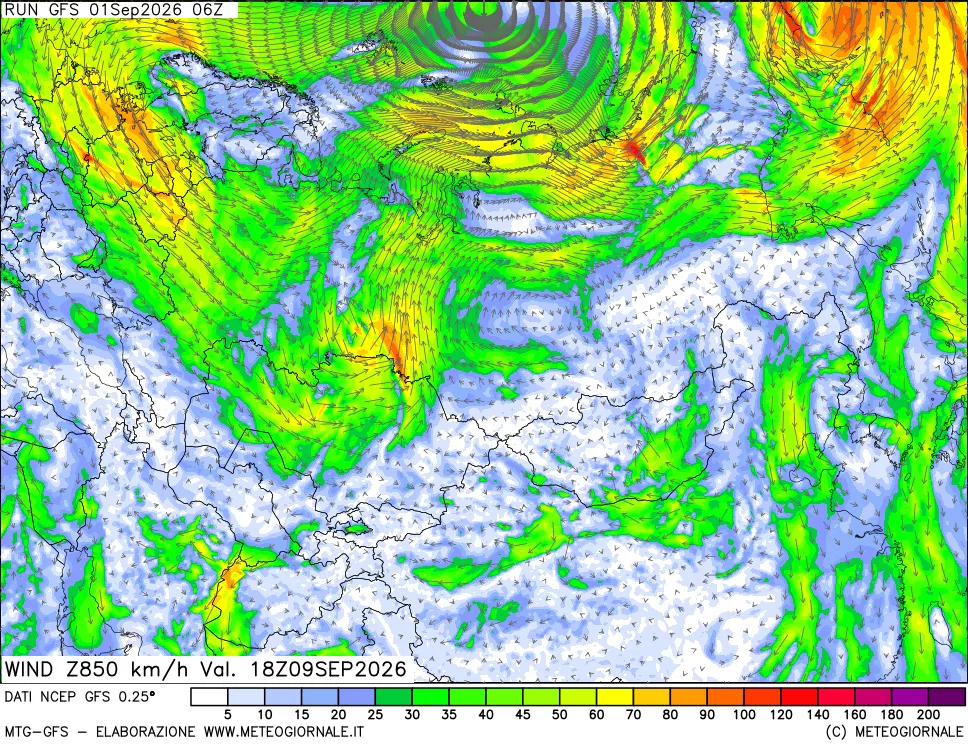mappa 850 hPa Vento forza e direzione