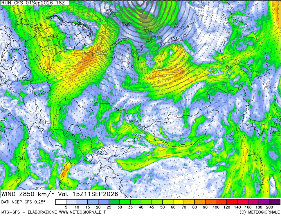 mappa 850 hPa Vento forza e direzione