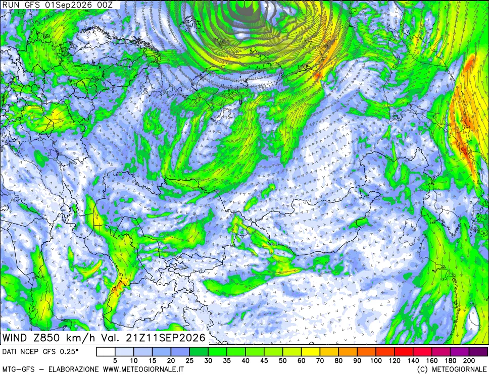 mappa 850 hPa Vento forza e direzione