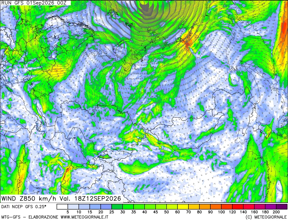 mappa 850 hPa Vento forza e direzione