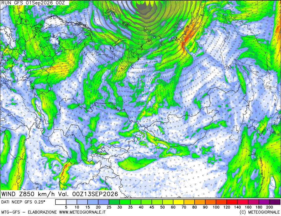 mappa 850 hPa Vento forza e direzione