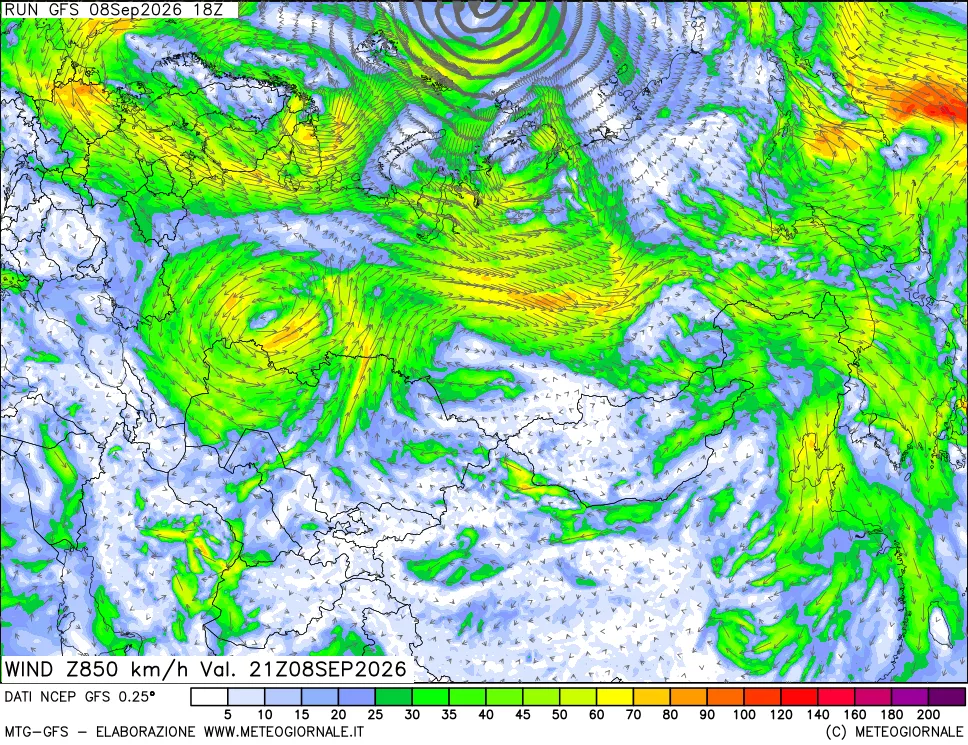 mappa 850 hPa Vento forza e direzione