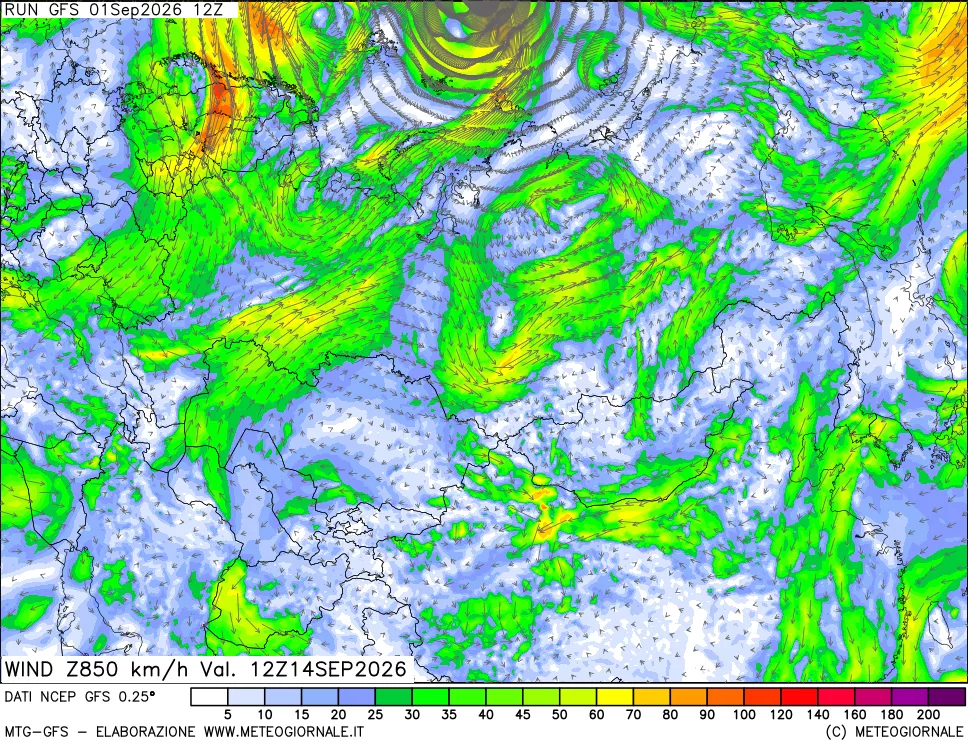 mappa 850 hPa Vento forza e direzione