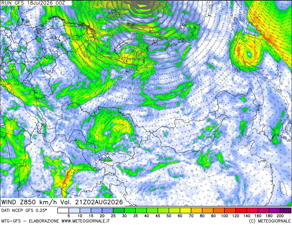 mappa 850 hPa Vento forza e direzione