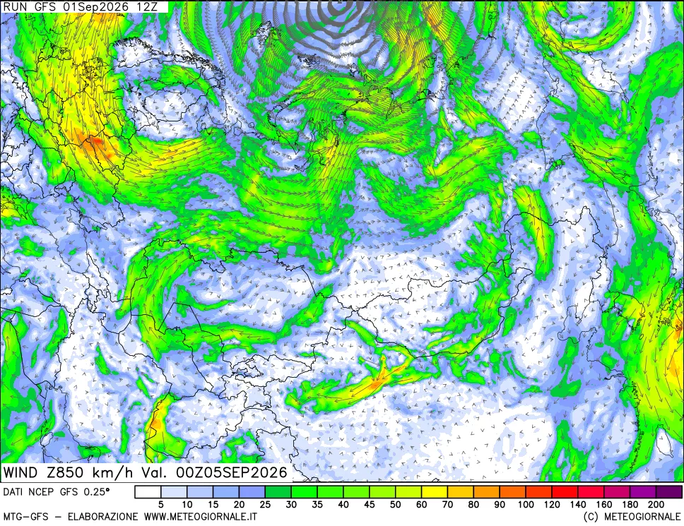 mappa 850 hPa Vento forza e direzione