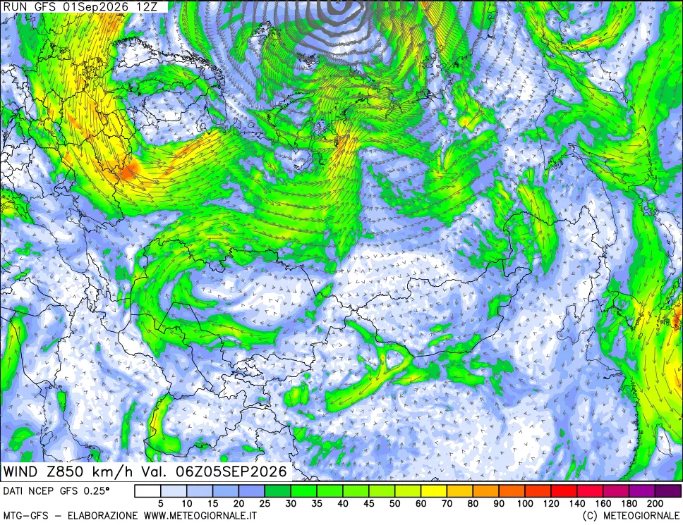 mappa 850 hPa Vento forza e direzione