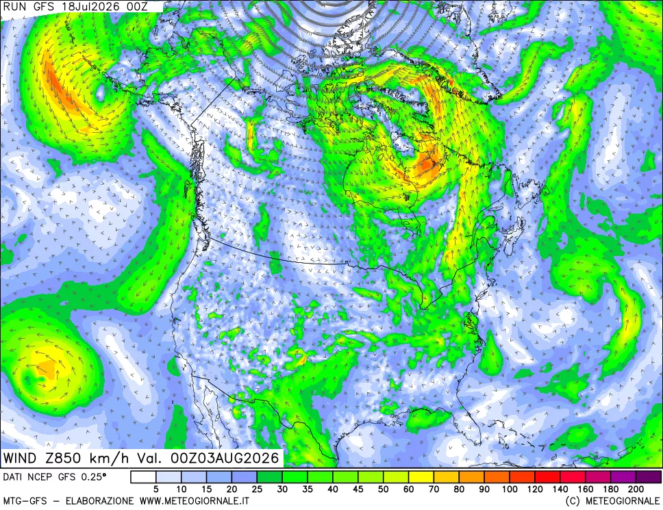 mappa 850 hPa Vento forza e direzione