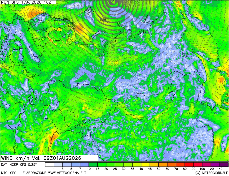 mappa 10 m Vento forza e direzione